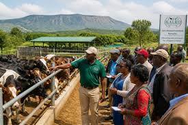 Farm inspection